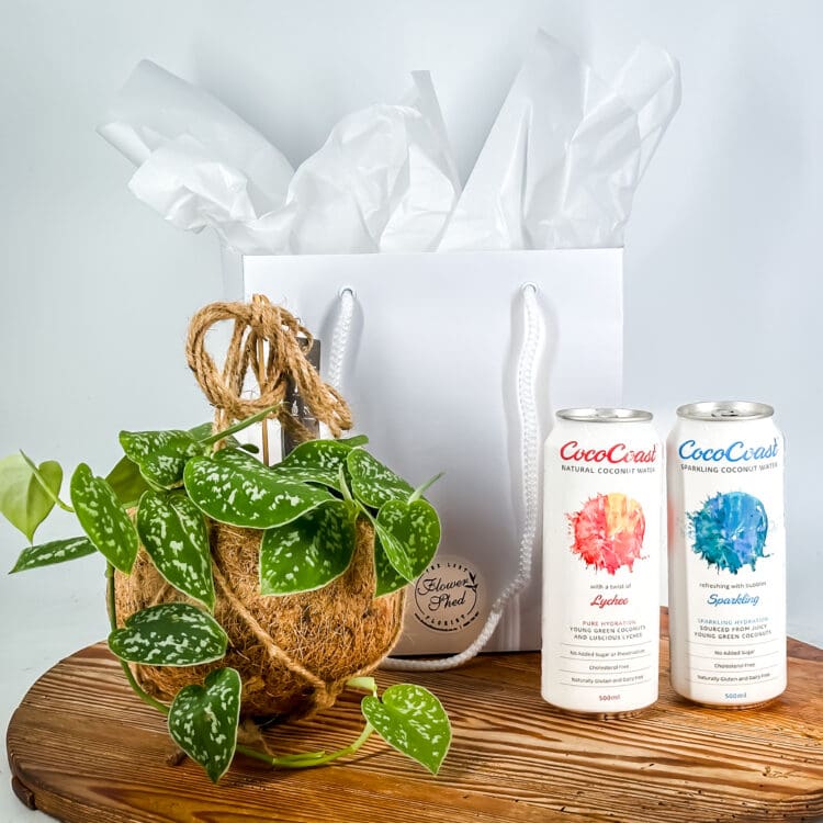 The Coconut Bundle