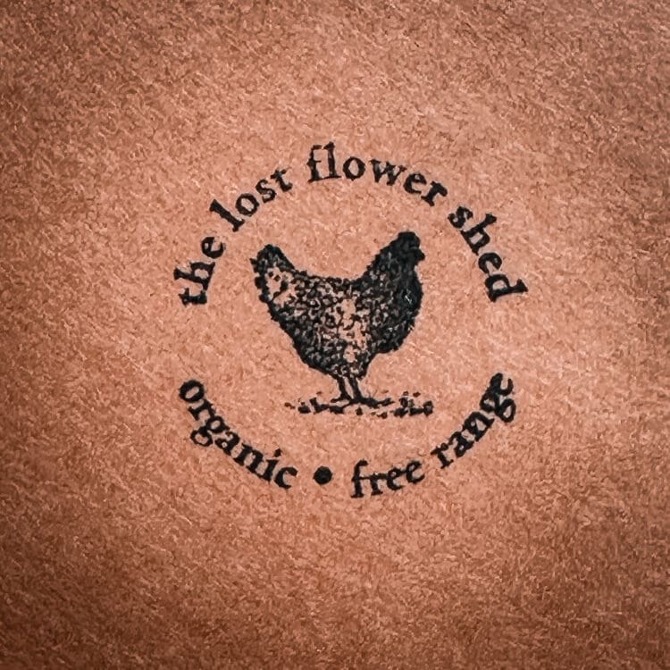 The Caker® Kit & Farm Fresh Egg Bundle - Image 3