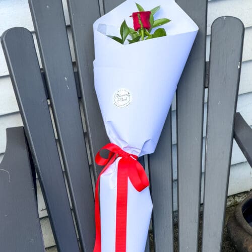 Single Red Valentines Day Rose