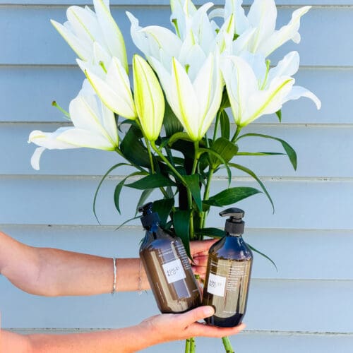 Ashley & Co Washup Bundle