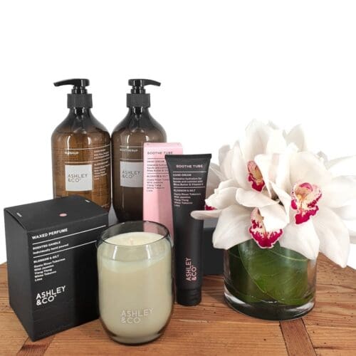 Ashley & Co Orchid Bundle