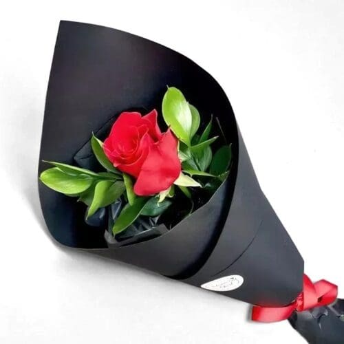 Valentines Day Single Red Rose