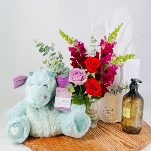 Toasty Hugs Baby Bundle