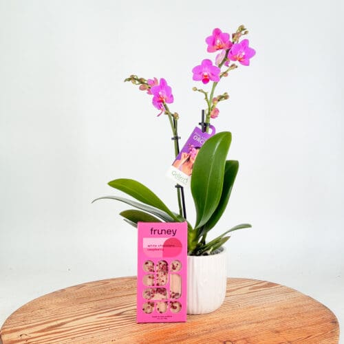 Orchid & Raspberry Indulgence