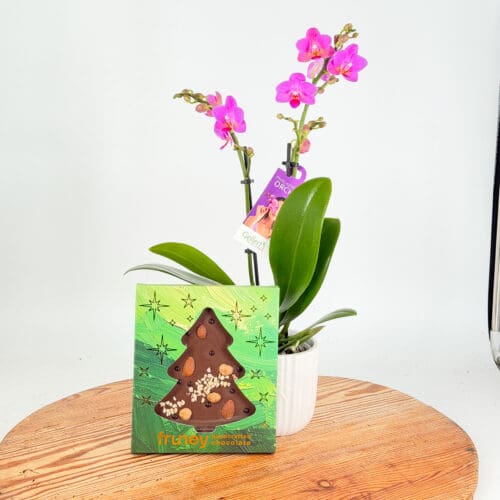 Merry Bloom Gift Combo