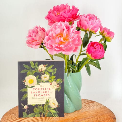 Peonies & Language of Flowers Gift Set