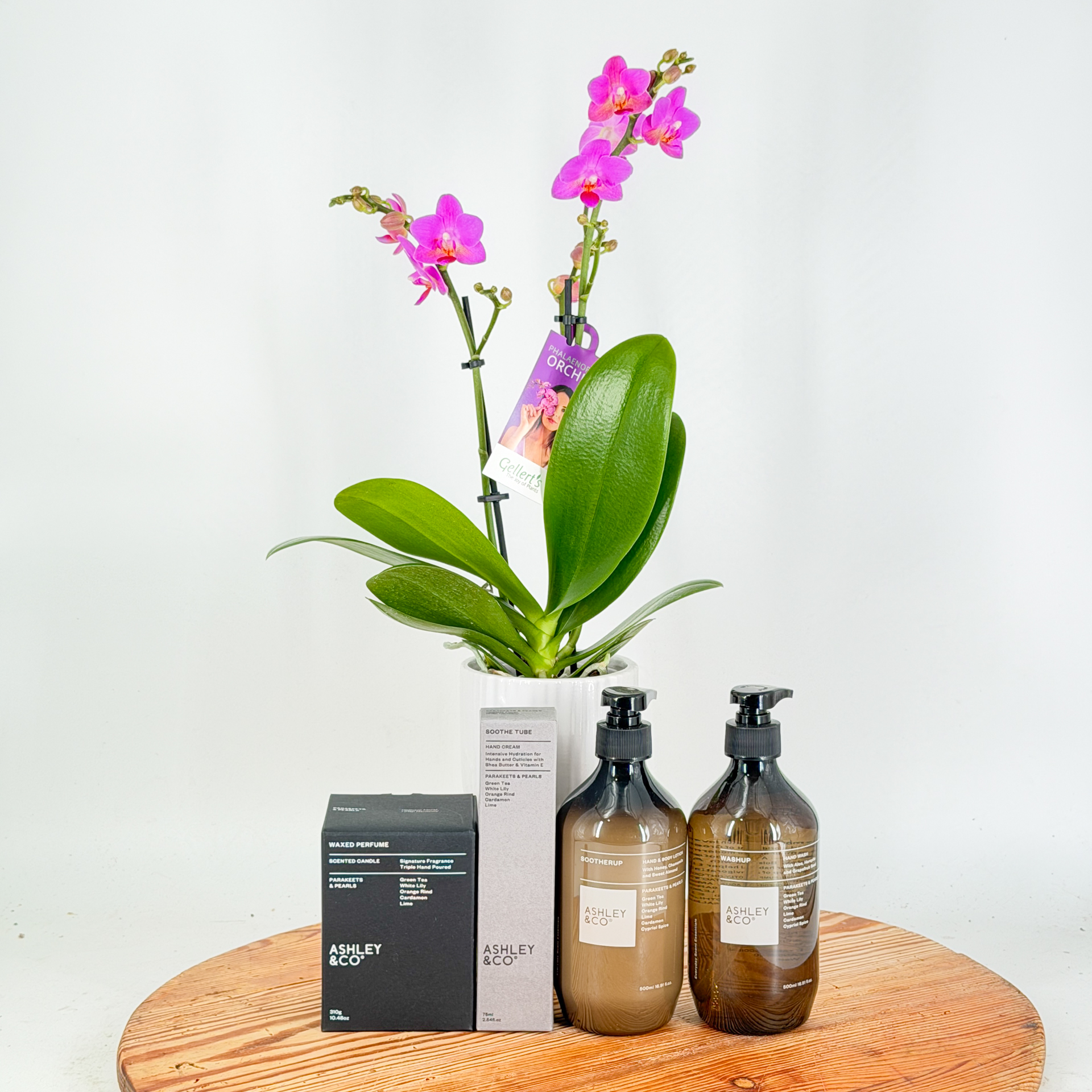 Orchids & Ashley & Co Gift Bundle