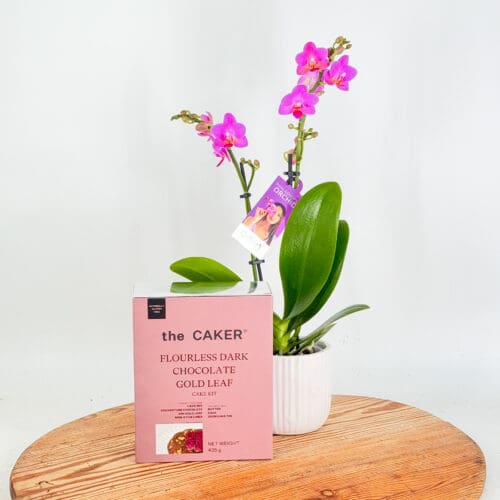 The Caker® Kit & Orchid Bundle