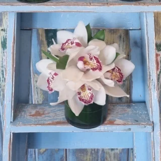 #orchidvase www.thelostflowershed.co.nz