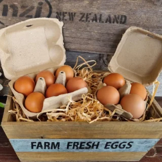 Fresh eggs avaliable @thelostflowershed , be quick ph 0800 700 987.