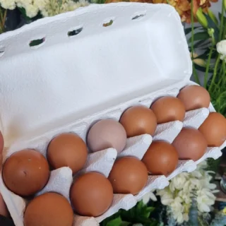 #fresheggs stop in and grab some on your way home. Www.thelostflowershed.co.nz,  ph 0800 700 987.