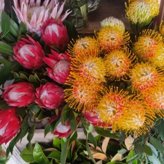 Plenty going on at #thelostflowershed pop in and grab some #freshflowers or jumb online www.thelostflowershed.co.nz #silverdaleflorist #redbeachflorist #orewaflorist #whangaparaoaflorist ph 0800 700 987.