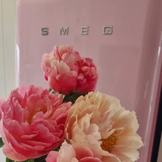 #peonies www.thelostflowershed.co.nz