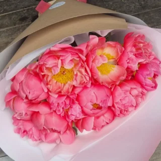 #peonieseasonnz www.thelostflowershed.co.nz only around for a short time get them while you can. #silverdalefloristnz ##orewaflorist #whangaparaoaflorist #hibiscuscoastnz #hibiscuscoastflorist #millwaterflorist #redbeachflorist
