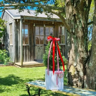 Our #minichristmastrees have arrived.  Do you know someone who lives in a tiny home , maybe yourself. These are the perfect solution. #livingminichristmastree. Www.thelostflowershed.co.nz #silverdaleboutiqueflowershop #silverdalefloristnz #hibiscuscoastflorist #whangaparaoaflorist #millwaterflorist #orewaflorist #dairyflatflorist #supportsmallbusiness.