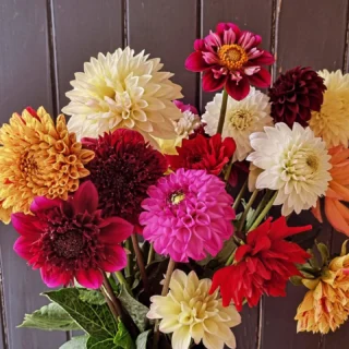 Moving right into #dahliaseasonnz www.thelostflowershed.co.nz #silverdaleboutiqueflowershop #orewaflorist #whangaparaoaflorist #redbeachflorist #milldaleflorist