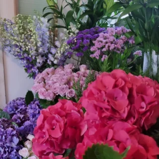 Back open and full of blooms.  Www.thelostflowershed.co.nz #silverdalefloristnz  #orewaflorist  #whangaparaoaflorist  #hibiscuscoastfloristnz