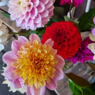 Instagram post 17930553615196727