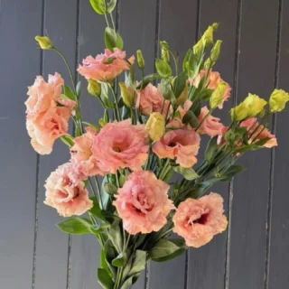 Beautiful #lisianthus in the shop whis week. #thelostflowershed