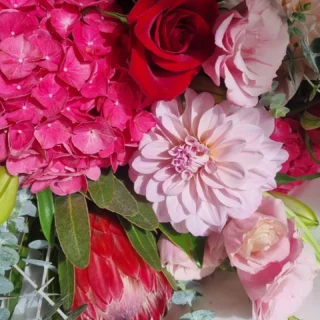 Www.thelostflowershed.co.nz #whangaparaoaflorist #redbeachflorist #hibiscuscoastfloristnz #silverdalefloristnz